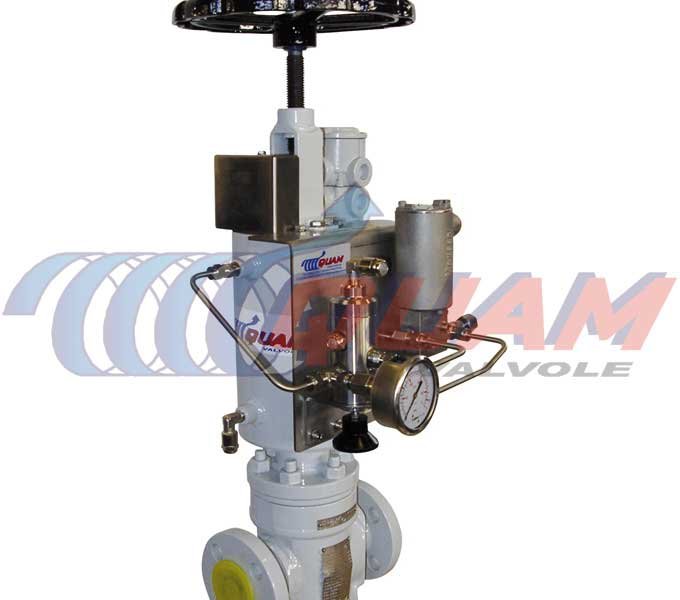 quam pneumatic ldv